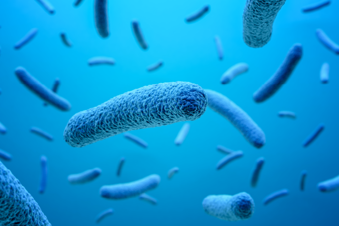 Legionella Test for Water in Dubai